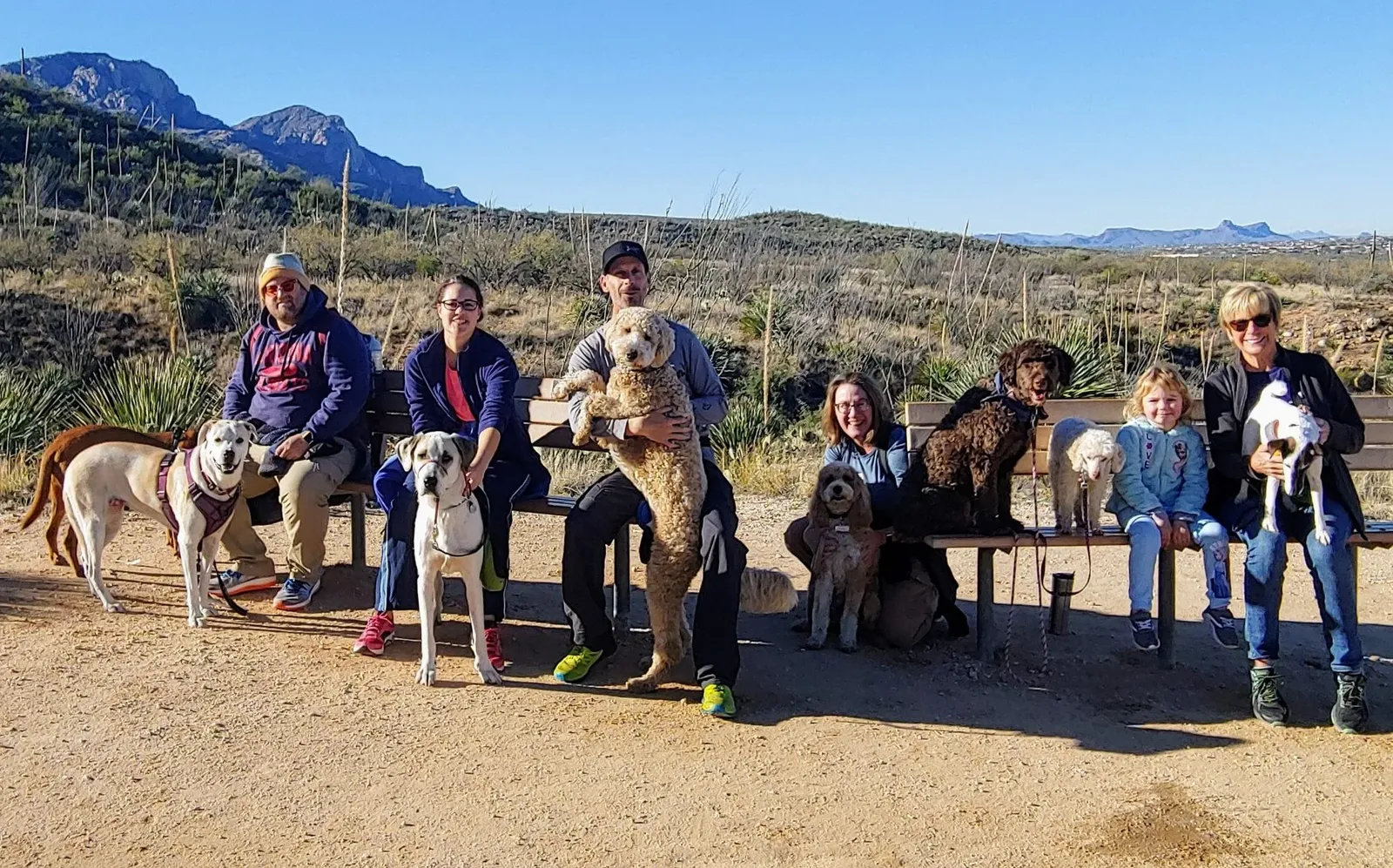 Ruff House clients and their dogs resting on a bench on a desert hike near Tucson
